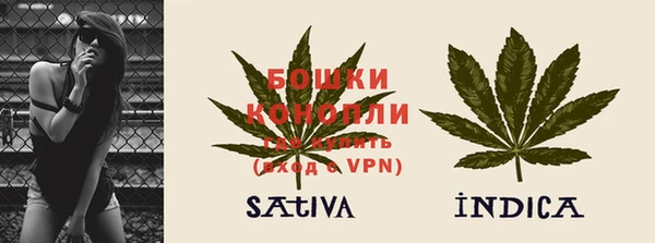 молекула духа Липки