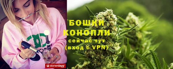 трава Алзамай