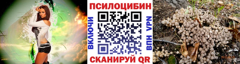 даркнет сайт  Азнакаево  Галлюциногенные грибы ЛСД 